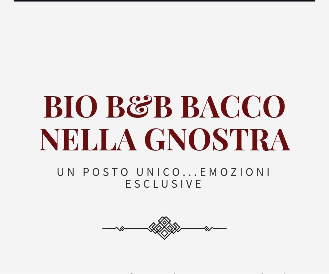 Bio B&B Bacco Nella Gnostra Альтамура Экстерьер фото